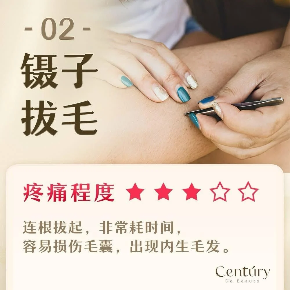 Tweezing 镊子拔毛